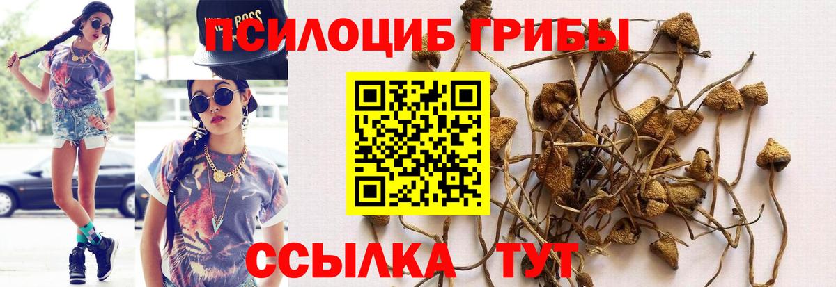 Соликамск  Галлюциногенные грибы мухоморы  купить закладку  Галлюциногенные грибы прущие грибы  Вход с VPN 